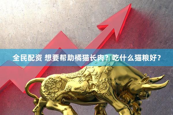 全民配资 想要帮助橘猫长肉？吃什么猫粮好？