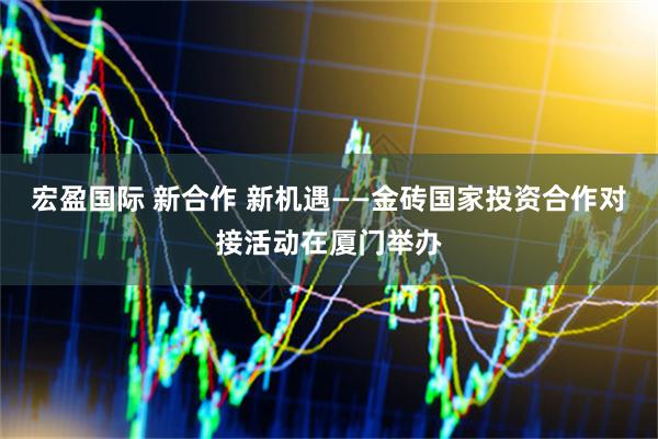 宏盈国际 新合作 新机遇——金砖国家投资合作对接活动在厦门举办