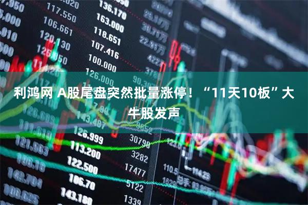 利鸿网 A股尾盘突然批量涨停！“11天10板”大牛股发声