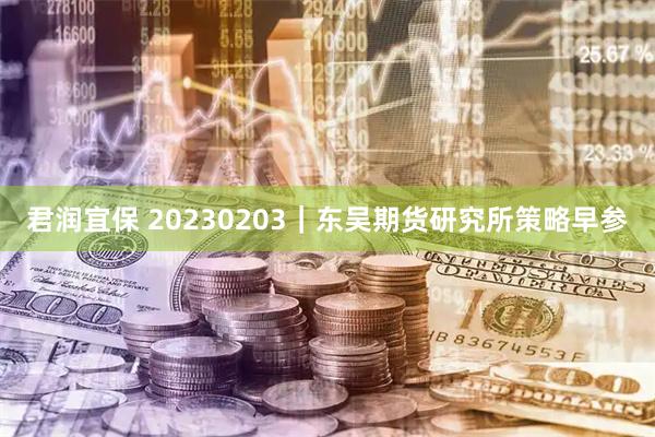 君润宜保 20230203｜东吴期货研究所策略早参