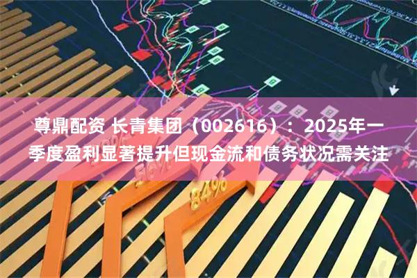 尊鼎配资 长青集团（002616）：2025年一季度盈利显著提升但现金流和债务状况需关注