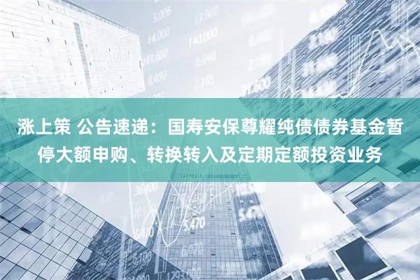 涨上策 公告速递：国寿安保尊耀纯债债券基金暂停大额申购、转换转入及定期定额投资业务