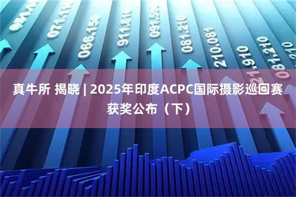 真牛所 揭晓 | 2025年印度ACPC国际摄影巡回赛获奖公布（下）