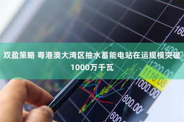 双盈策略 粤港澳大湾区抽水蓄能电站在运规模突破1000万千瓦