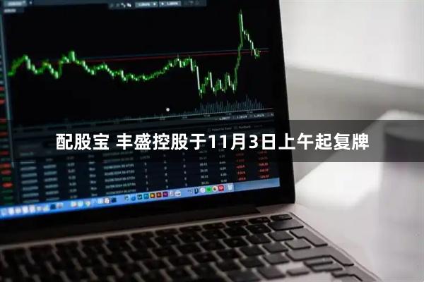 配股宝 丰盛控股于11月3日上午起复牌