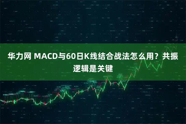 华力网 MACD与60日K线结合战法怎么用？共振逻辑是关键